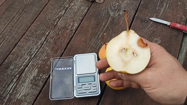 Обзор и дегустация семи сортов груш. Груши выращены в Подмосковье. смотреть онлайн