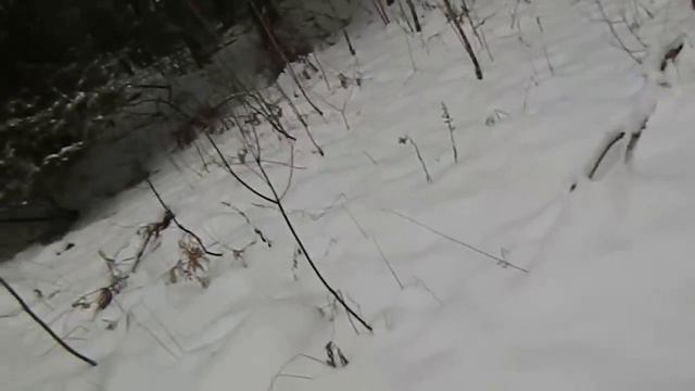 три дня на охоте !!!!!.охота на куниц хорей и норок ... смотреть онлайн