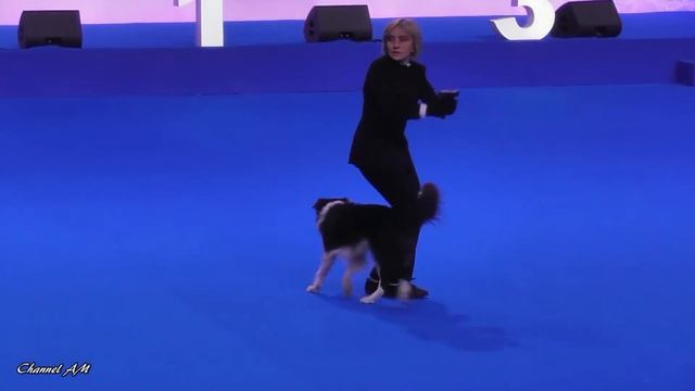 2018 Чемпионат РКФ по танцам с собаками. DOG DANCE RKF CHAMPIONSHIP. смотреть онлайн