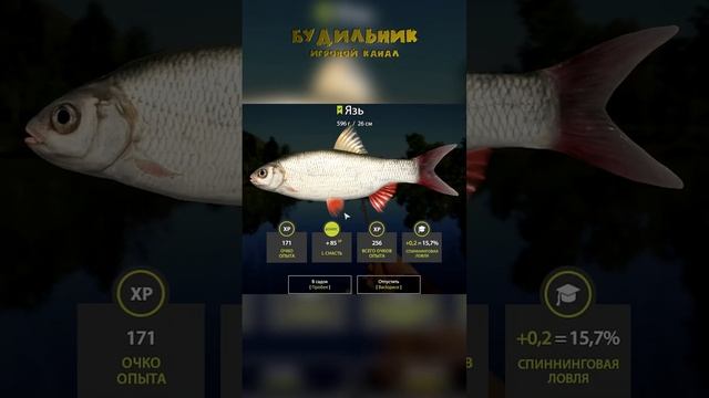 Russian Fishing 4? КАК ВСЁ НАЧИНАЛОСЬ #1 ● Уютный симулятор рыбалки #shorts смотреть онлайн