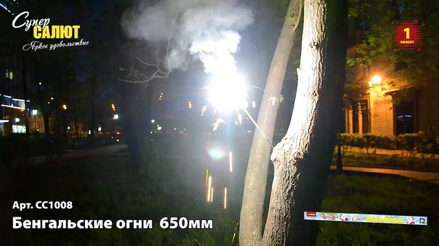 СС1008 смотреть онлайн