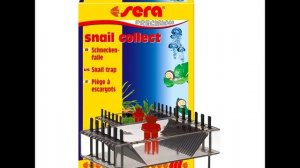 Как избавиться от нежелательных улиток в аквариуме?Ловушка для улиток своими руками DIYдля аквариум