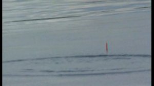 Ловля уклейки на Волге.