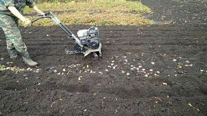 культиватор craftsman