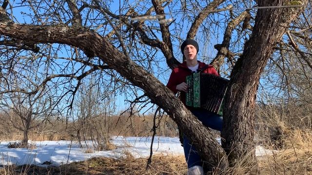 БЛАЖЕН, КТО МУДРОСТИ ВЫСОКОЙ || ПСАЛОМ №1 || ДУХОВНЫЙ СТИХ ПОД ГАРМОНЬ || ПЕСНИ ДЛЯ ДУШИ смотреть онлайн