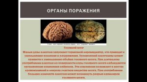 Влияние спиртов на организм человека