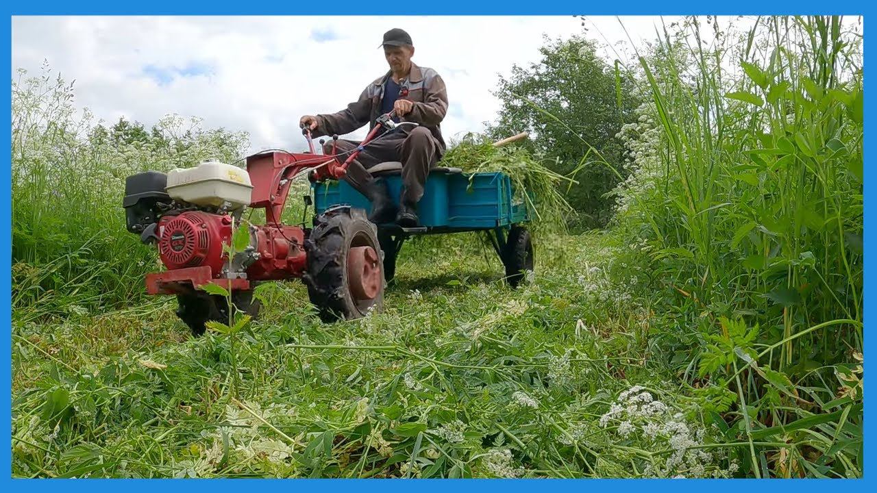 Вести с полей, одни петухи, ливни и чуток стройки // Хозяйство в деревне смотреть онлайн