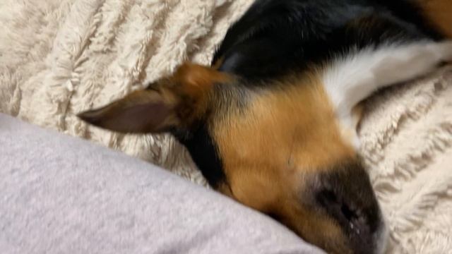 Пару месяцев знакомства ?В отпуск первый раз ??Наш день ??♀️??Olga Kirchgessner смотреть онлайн