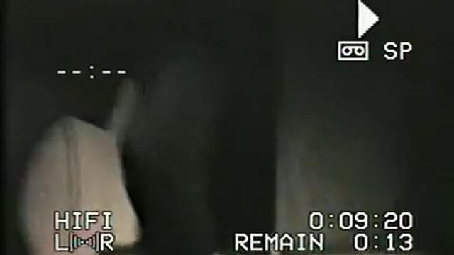 Шевчук 87 год Лен. область