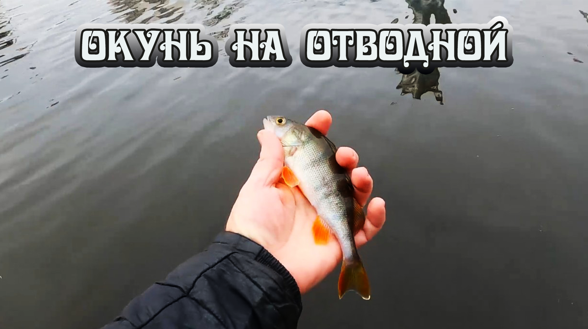 Очередная спортивная рыбалка на отводной поводок на окуня. Городской пруд, октябрь смотреть онлайн