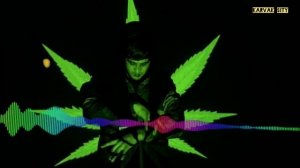 Asl wayne Arzon (2021 Асл вайне арзон)