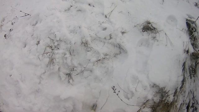 Тест пороха сокол партия 08/20 и 04/19 смотреть онлайн