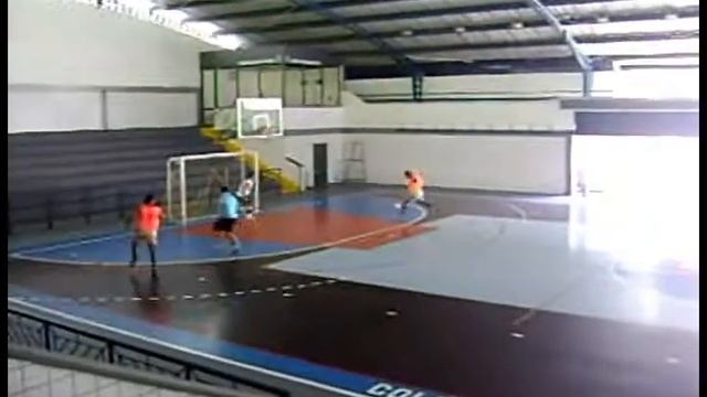 Trofeu Mustela Putorius Furo, o popular furão nº3 смотреть онлайн