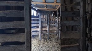 Как откормить лошадь на мясо?