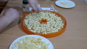 Сушим чеснок в сушилке