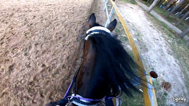 СЧИТАЕМ ТЕМПЫ И ПРЫГАЕМ | КОНКУР | GoPro смотреть онлайн