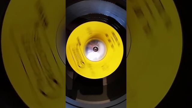 THE COLLECTORS (GROOVY GROOVES) смотреть онлайн