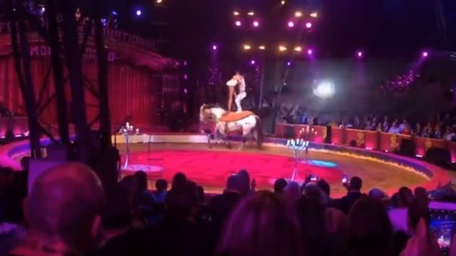 1-й номер Венгро-Немецкого цирка на Фестивале в Монте Карло (2018) смотреть онлайн