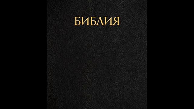 mat 11 смотреть онлайн