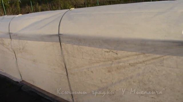 ВЕСНА. Майский репортаж. 7 мая Заморозки продолжаются! смотреть онлайн