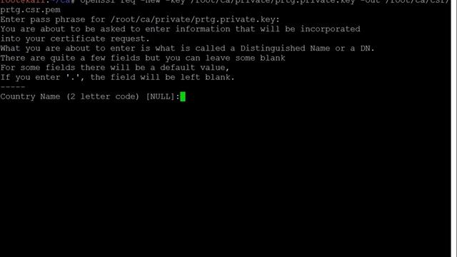 PRTG SSL (2018) смотреть онлайн