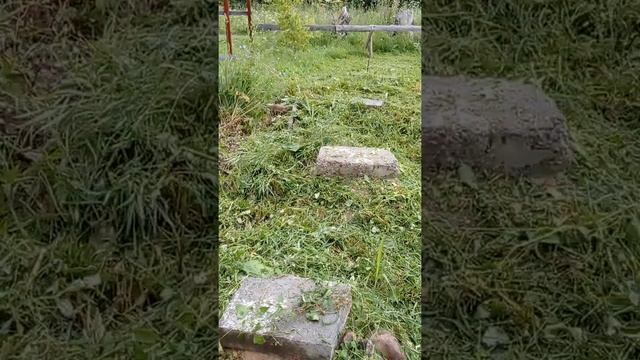 Самый дешевый фундамент под баню смотреть онлайн