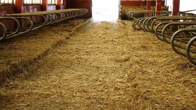 Измельчитель рулонов грубых кормов ИГК-5 смотреть онлайн