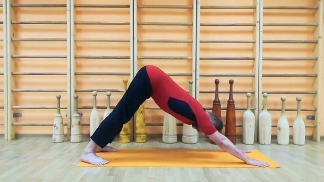 Danda Vinyasa Part 13/18   Данда Виньяса часть 13/18