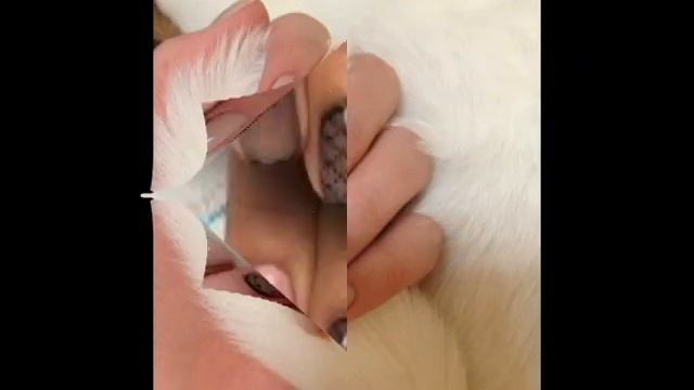 дизайн ногтей эффект чулок смотреть онлайн