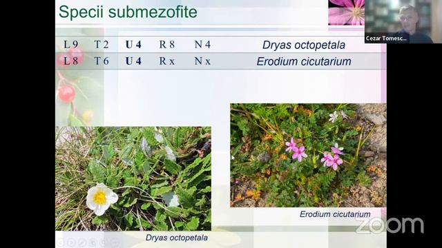 Plantele indicatoare - prin prisma indicilor ecologici смотреть онлайн