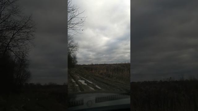 Зоти т600 на цепях