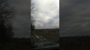 Зоти т600 на цепях