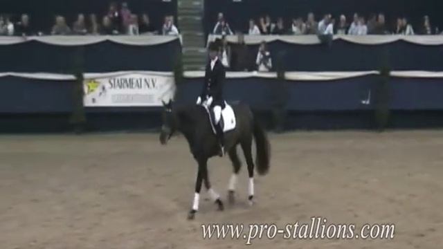 Samba Hit II 2007 смотреть онлайн