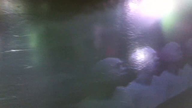 Fragile Occupancy 2013 - Hidemi Nishida + Teppei Koseki @Lexus Hybrid Art 2013 - video 1