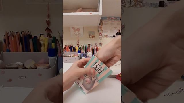 Я снова была в Читай городе и не смогла не взять сюрприз бокс Пушин! ♡ #читайгород #пушин #бокс