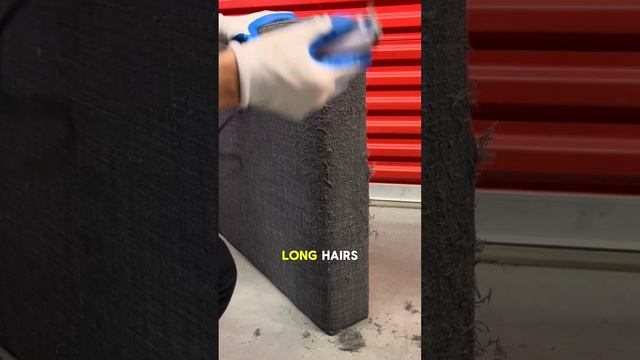 Couch Flipping Tip (Fixing Cat Scratches) смотреть онлайн
