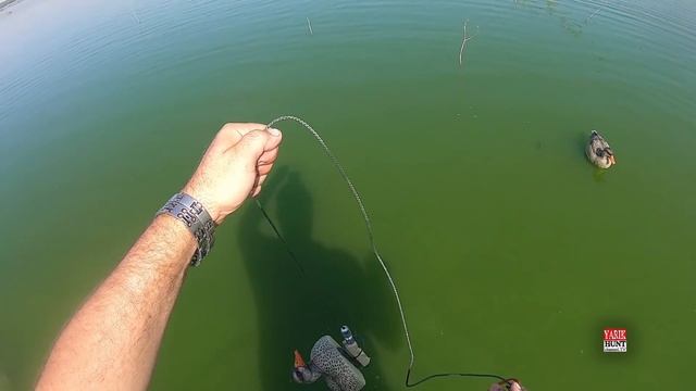 ✅ЛУЧШАЯ ОСТНАСКА ЧУЧАЛ ЗА 25 ЛЕТ ОТ HAINE HANT/ГРУЗИК ДЛЯ СЕТЕЙ/КОЛЬЦО ОТ КАМАЗА/БРАКОНЬЕРСКИЙ ШНУР смотреть онлайн