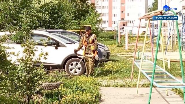 НАЧАЛИ ПОКОС ТРАВЫ смотреть онлайн