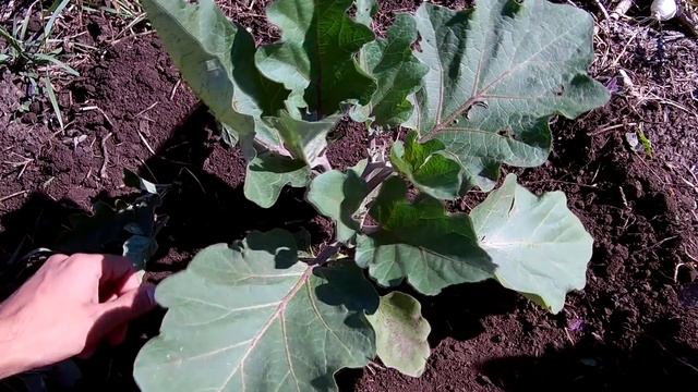 Стройка Эксперт