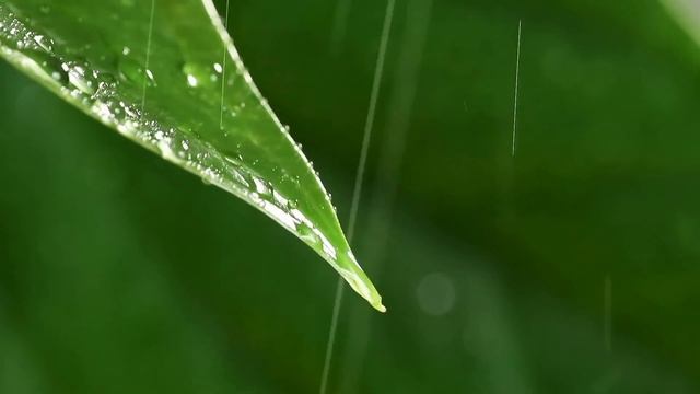 Short Meditation Music: 4 Minute Relaxation, Calming смотреть онлайн