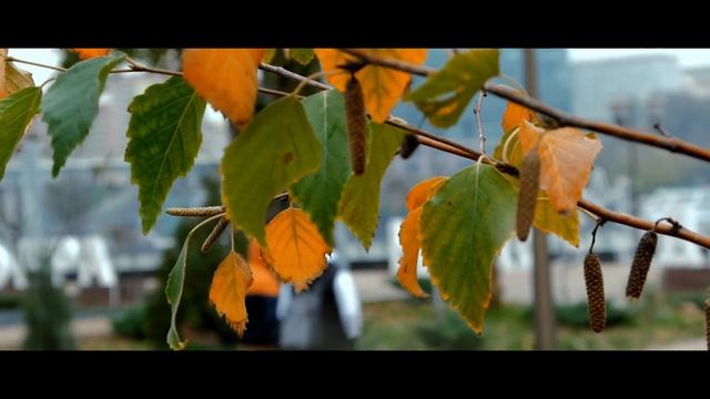 Panasonic Lumix GH4 + Panasonic 14-45 mm 3.5-5.6 смотреть онлайн