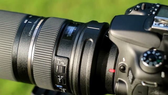 Tamron 150-600 VC Vs Sigma 150-600 C:  Autofocus Performance
