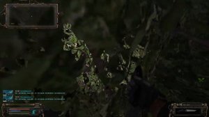 Книга Шахтера в Забытом лесу ОП 2