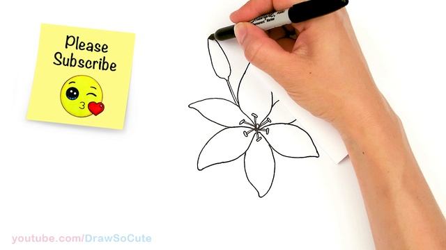 How to Draw a Lily Flower Easy смотреть онлайн