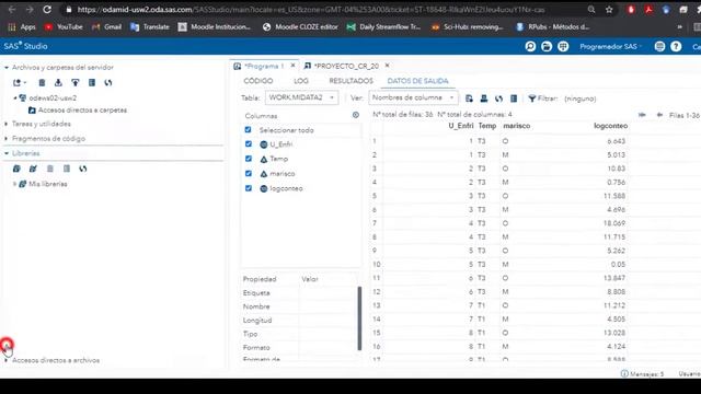 Subir datos de Excel a SAS, crear data permantente. FÁCIL !!! смотреть онлайн