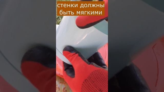 Горшок для антуриума, как выбрать смотреть онлайн