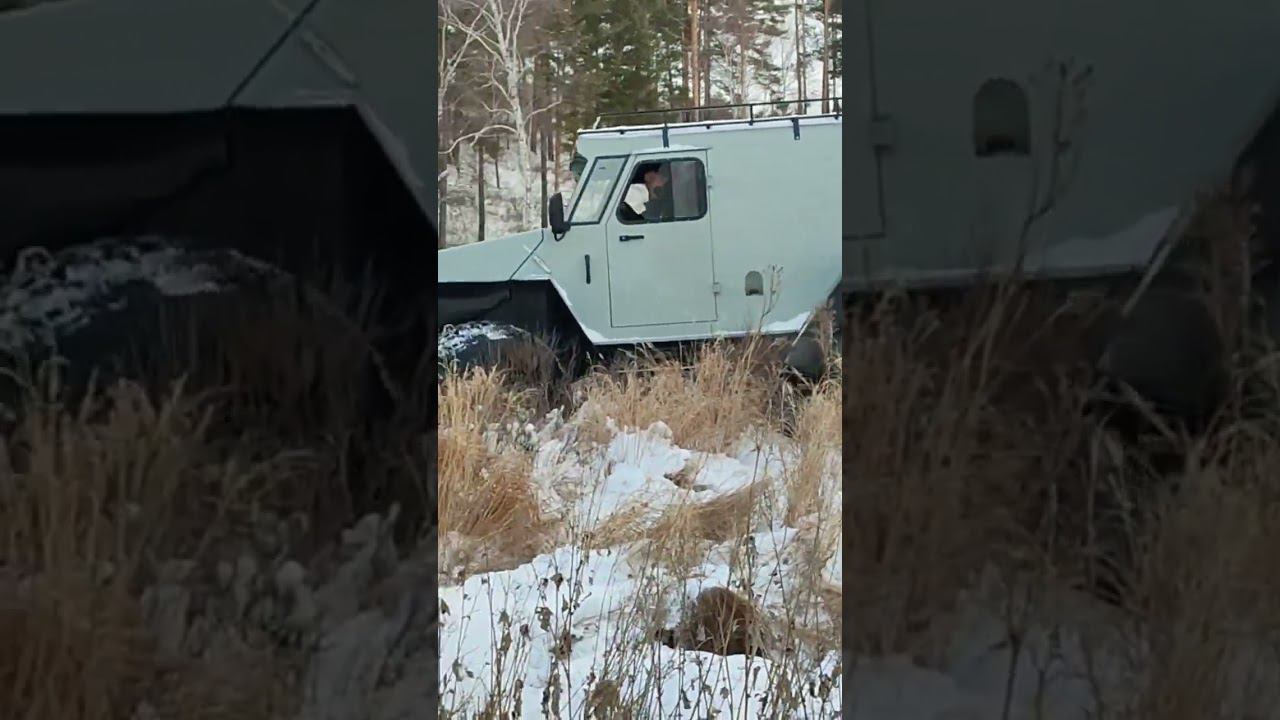 да я тут на жигулях проеду смотреть онлайн