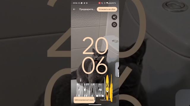 andoid 14 guide wallpaper (русские здесь?) смотреть онлайн