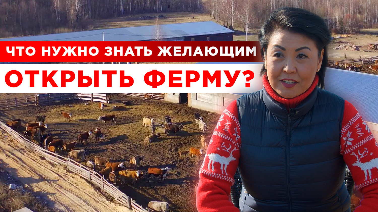 Ферма с нуля | Что нужно знать желающим открыть ферму | Как стать фермером