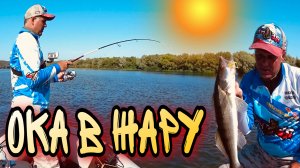 НА ОКЕ В ЖАРУ Поставил отводной и ПОНЕСЛОСЬ Рыбалка летом на Оке